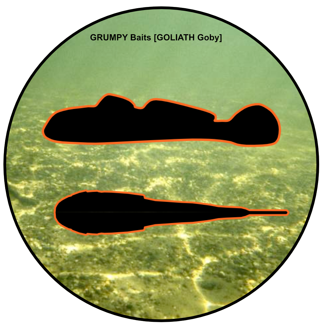 Grumpy Baits Goliath Goby Profile