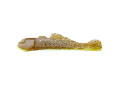 Natural Goby/Chartreuse (024) (+CAD$1.00)