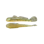 GOLIATH GOBY