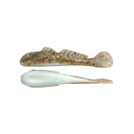 GOLIATH GOBY