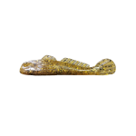 GOLIATH GOBY