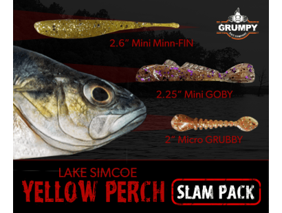 Lake Simcoe Yellow Perch Slam Pack