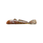 Mini Goby